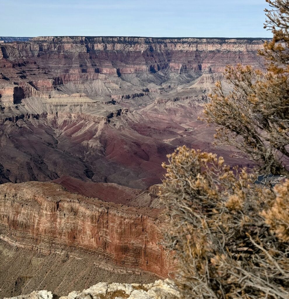 Deuteronomy 8:7 For the Lord thy God bringeth thee into a good land, a land of brooks of water, of fountains and depths that spring out of valleys and hills;